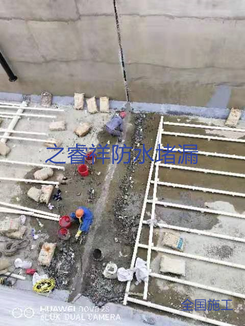 微信圖片_20211224104940_副本.jpg